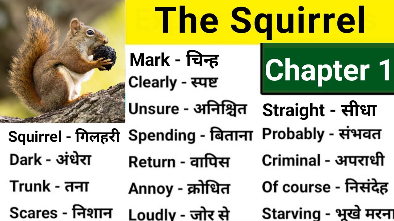 class-7-the-squirrel-word-meaning-class-7-the-squirrel-poem-class-7