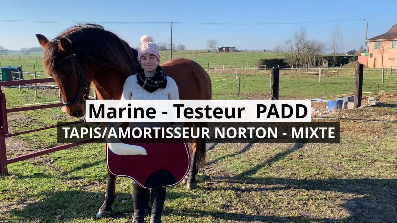 Tapis de selle cheval Mer-System personnalisable avec amortisseur