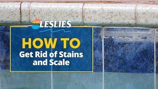 How to Get Rid of Stains and Scale in Your Pool | Leslie's