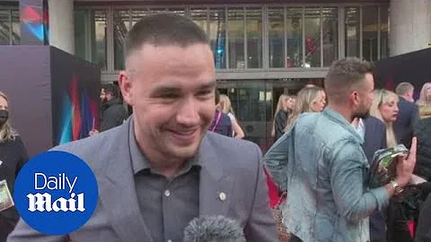 'I did Ron's Gone Wrong job for my son's enjoyment': Liam Payne