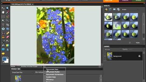 Photoshop Elements 9.0 Tutorial Viewing Document Information Adobe Training Lesson 3.8