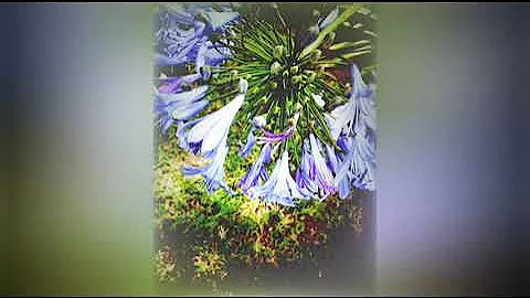 MDeeKay MIX (Soulful Deep House). Senior oat, sun el musician, Bob ezy, Artwork Sounds