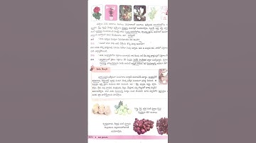 AP tet, DSC classes 4th class Evs sem-1 important mcqs based on textbooks line to line practicebits