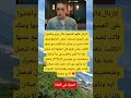 کارتال قالهم اقتحموا مكان بوزو واقضوا على الجميع باستثناء جيلان احتاجها وملك قالت لحيدر ان جيلان