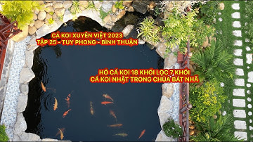 TẬP 25 - CÁ KOI XUYÊN VIỆT 2023 - HỒ CÁ KOI NHẬT 25 KHỐI TRONG CHÙA BÁT NHÃ - TUY PHONG- BÌNH THUẬN