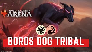 BOROS DOG TRIBAL Standard Deck - Magic MTG Arena Decks Game Play Strategy MTGA