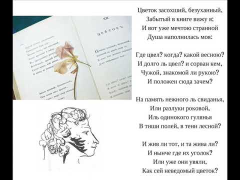 Цветок ("Цветок засохший, безуханный"), Пушкин А.С.