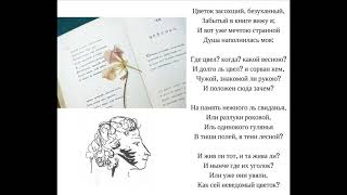 Цветок ("Цветок засохший, безуханный"), Пушкин А.С.