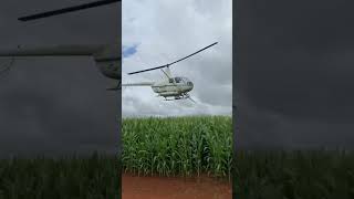 different! the spraying on corn #video #shorts