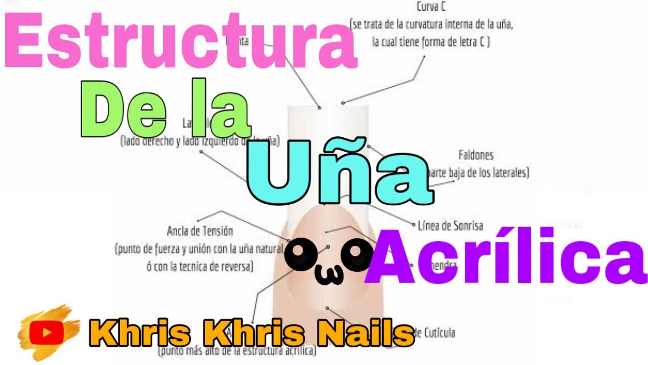 ESTRUCTURA DE LA UÑA POSTIZA, DE GEL, ACRILICA, NOTA INFORMATIVA#4