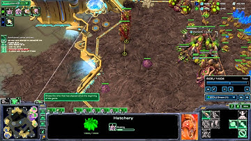 ZvP Builds How to Beat Almost Everything With One Build