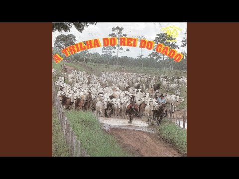 Baile na Roça