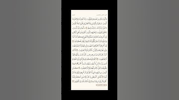 الورد اليومي: 4 صفحات (545-546-547-548) لتجنب هجر القرآن | تذكير يومي مستمر #قرآن #تلاوة
