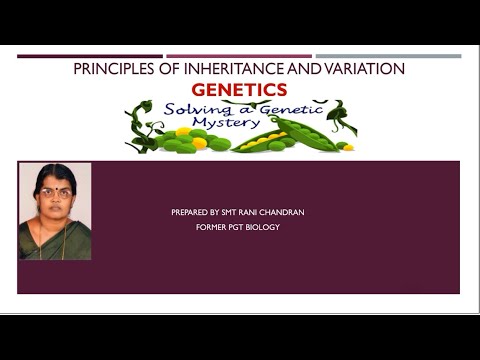 Genetics - YouTube