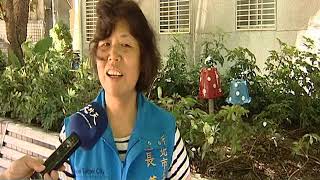 天外天新聞1080718 02林蔭大道公園 大小蘑菇出沒