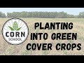Corn school does planting into green cover crops work