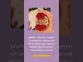 Marte y Saturno: claves de prevención