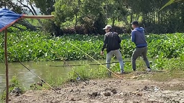 Lên cá sông Vàm cỏ Tây