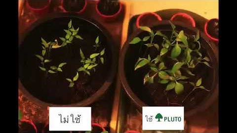 Test Upload via Java on Mon Sep 26 14:25:43 ICT 2016