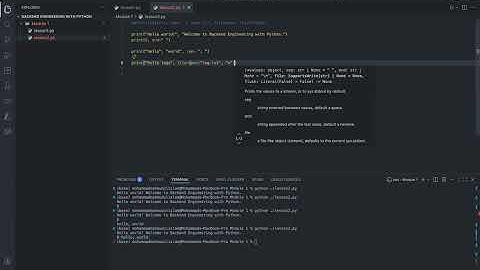 Python print function