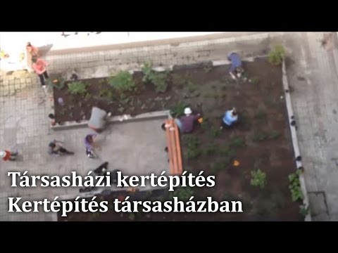 Videó: Folyóparti tereprendezés: Hogyan válasszunk megfelelő növényeket a folyópartokhoz