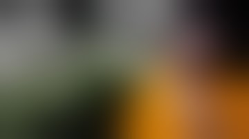 Is This Why Some People Think DWC Hydroponics is the Best Way To Grow Plants??