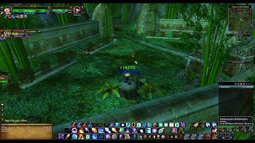 How to solo High Priest Thekal (ZG tiger boss)