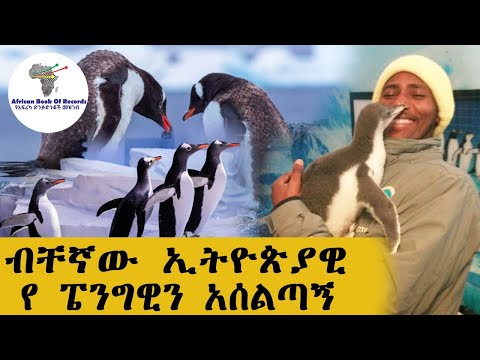 ቪዲዮ: በ 19 ኛው እና በ 20 ኛው ክፍለዘመን መጀመሪያ ላይ በሩቅ ምስራቅ እና በማንቹሪያ የሩሲያውያን አደን እና ራስን ለመከላከል መሣሪያዎች