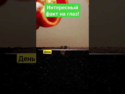 Факт на глаз!Как растёт болгаркий перец? #топ #природа #растения #жизнь #быстро #shortsvideo