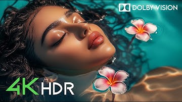Macro Masterpiece | Perfect OLED 2025 in 4K HDR Dolby Vision (60FPS)