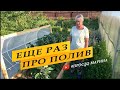 Что не договорила про полив. Перец и баклажаны.