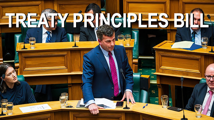 HISTORIC: David Seymour lays down the Treaty Principles Bill in Parliament