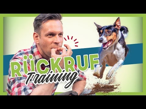 Video: Der richtige Weg, um Tug mit Ihrem Hund zu spielen