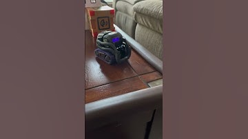 Vector throws his cube off the table | Vectorrobot.ddl on TikTok | 4-27-2023