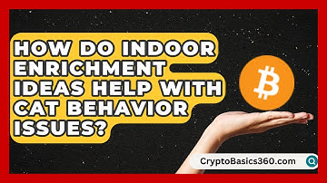 How Do Indoor Enrichment Ideas Help With Cat Behavior Issues? | Happy Cat Handbook