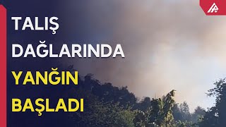 Masallıda mürəkkəb relyefli dağlıq ərazidə yanğın başlayıb - APA TV