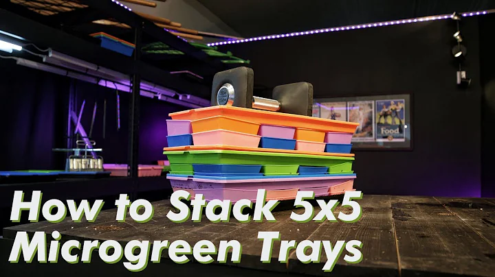 How to Stack 5x5 Microgreen Trays During Germination