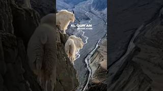 Surah Saffat Ayat 100110 Urdu Translation quranurdutranslation quran explore viral youtube