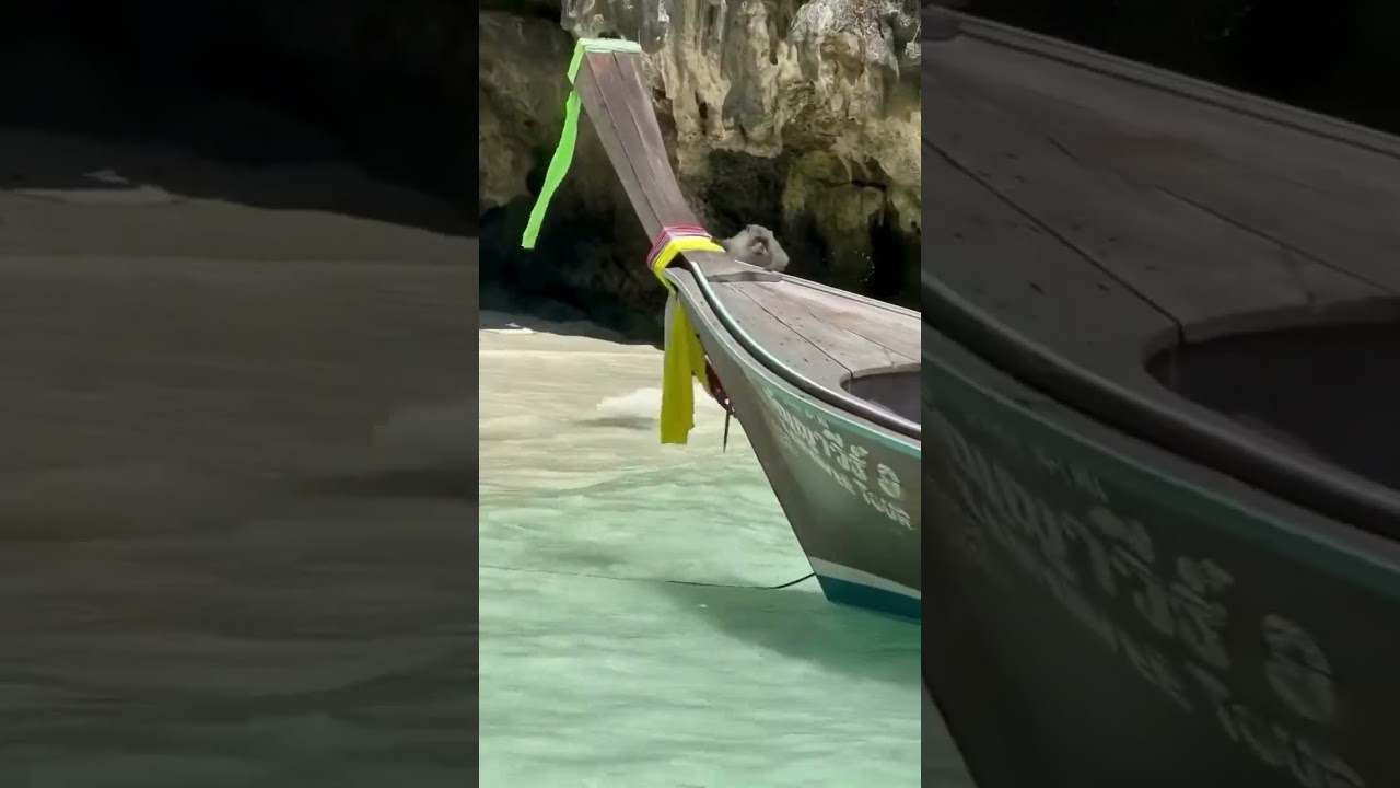 Monkey Beach, Krabi, Thailand