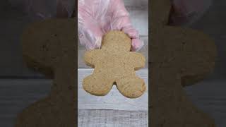 Vegan Gingerbread Cookies / No Egg No Milk No Butter Cookies #egglesscookies  #airfryercake