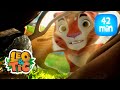 Leo & Tig - A Caverna Misteriosa e mais aventuras de Leo e Tig | Desenhos infantil 🐯🦁