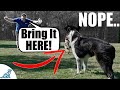 Fix Your Fetch! - For Dogs That Don't Bring It Back