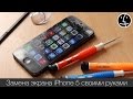 Замена экрана iPhone 5 своими руками! #ЯУМАМЫИНЖЕНЕР