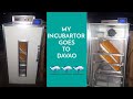 MY INCUBATOR GOES TO DAVAO(ORIENTAL MINDORO TO DAVAO)