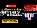 Erythroblastosis fetalis | Erythroblastosis| Erythroblastosis fetalis in urdu/hindi @Bioblast486