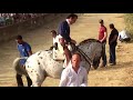 CABALLOS DE REJONEO, COLOMBINAS 2018 HUELVA, DIEGO VENTURA, ANDALUCIA ESPAÑA ESPAÑOLES