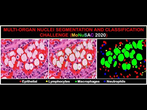 ISBI 2020 MoNuSAC Workshop