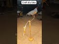 Impossible Balance! 😱 Physics or Magic #Shorts #DIY #trending #experiment #satisfying