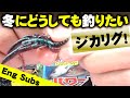 冬にどうしても釣りたい人は【ジカリグ】しかない！