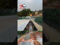 Reporting From Omenuko Bridge Watch The Achievements Within The Last 3 Months And 2 Weeks Reporting From Omenuko Bridge Watch The Achievements Within The Last 3 Months And 2 Weeks